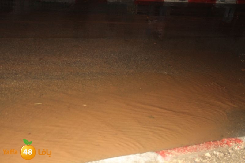 infejar onbookb (6).JPG